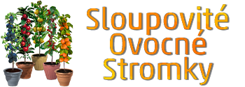 Sloupovité Ovocné Stromky